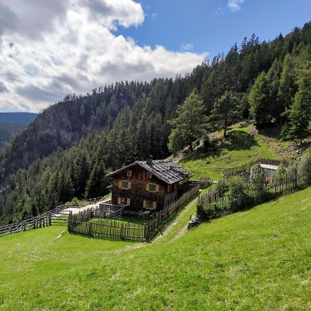 キウーザHirschhof Pfrein - Hideawayアパートメント エクステリア 写真